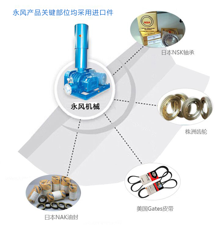 羅茨鼓風機零部件