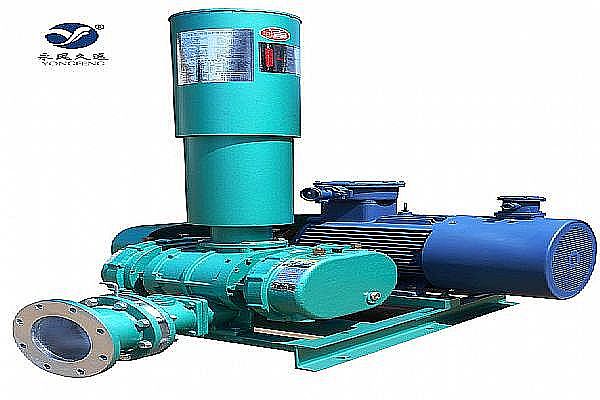 氣力輸送羅茨鼓風(fēng)機(jī)