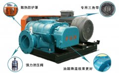 三葉羅茨鼓風機產生振動，發熱，異音的主要原因是什么