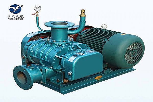 特殊氣體羅茨鼓風(fēng)機(jī)