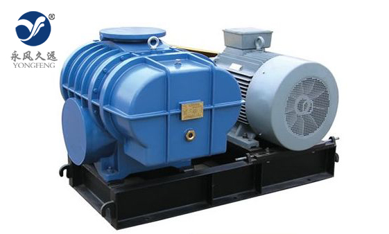 兩葉羅茨鼓風機