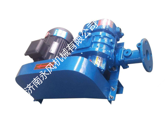 循環(huán)流化床羅茨風機